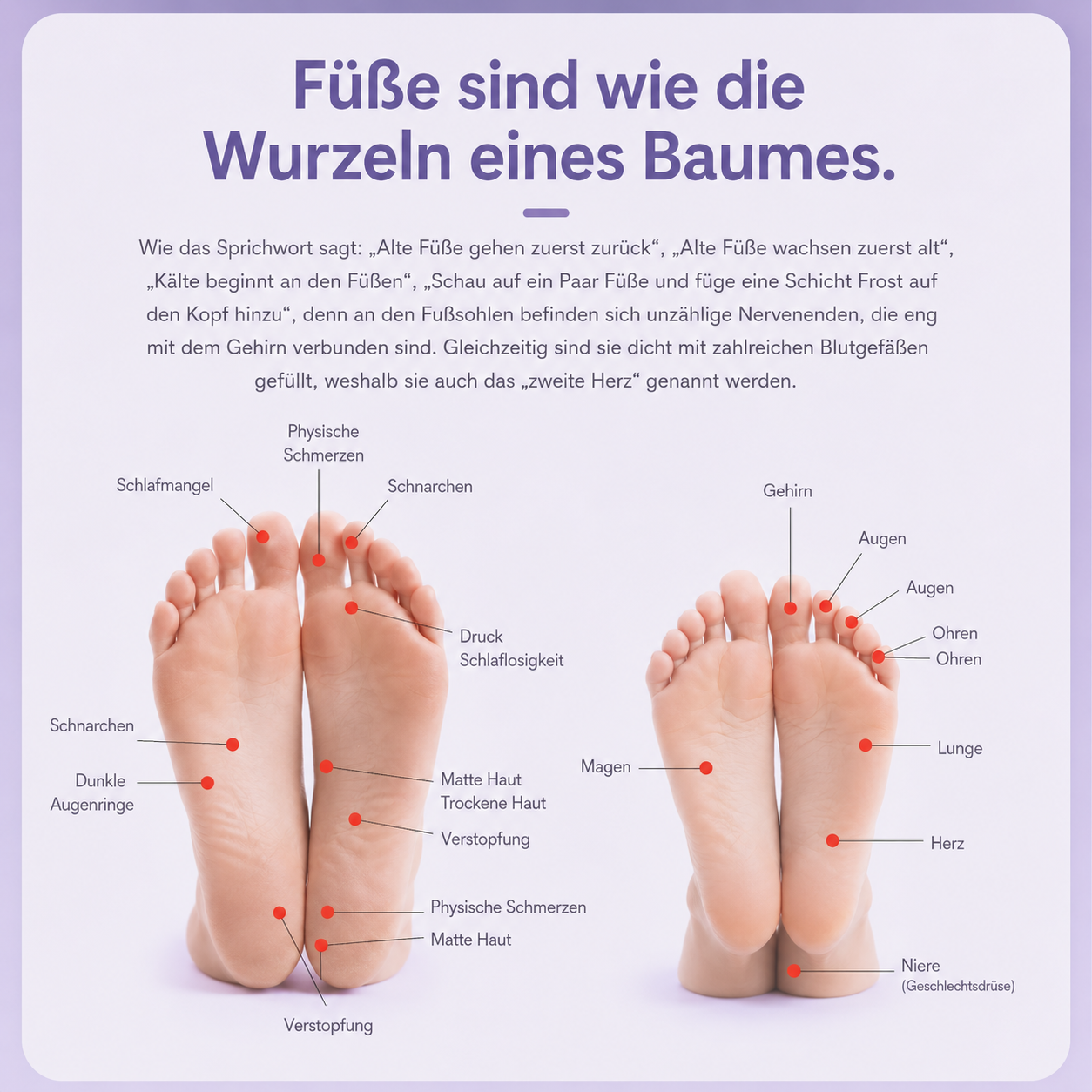 WellnessFußOase™